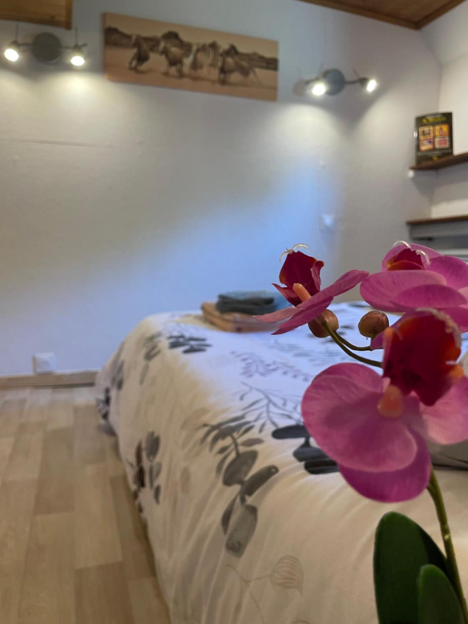 Peniche Le Pescalune - Chambre D'Hotes Arles Kültér fotó